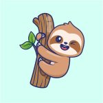 Cute sloth