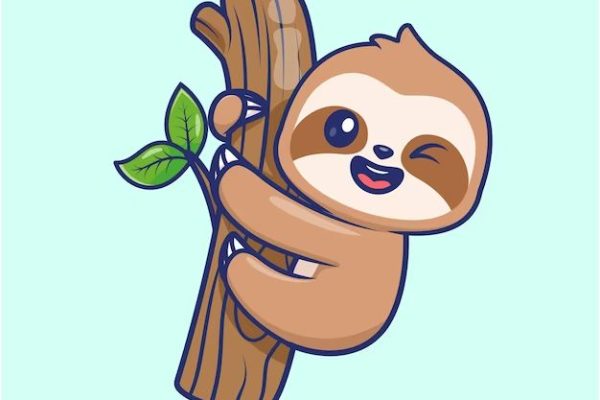 Cute sloth